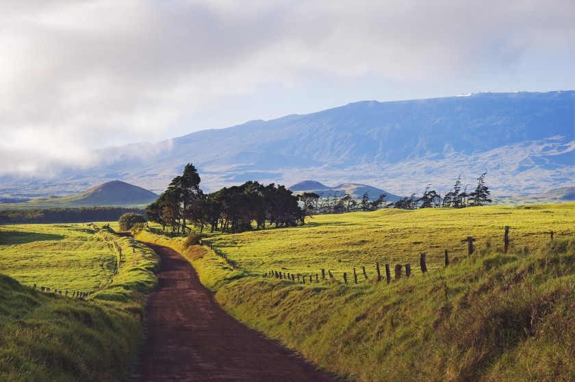 Kahua Ranch featured on our Hawaii wedding venue guide